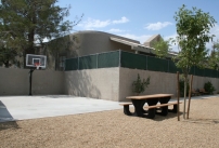 Sports and basketball court.