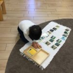 Child working with Curriculum / Cultural 3-part nomenclature cards building vocabulary through picture and words association