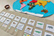 The five distinct areas of a Montessori classroom