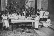 The Whole Child – A Montessori Education Journey