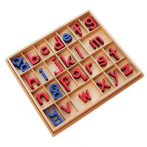 Montessori Language Material Large Movable Alphabet with Boxes 