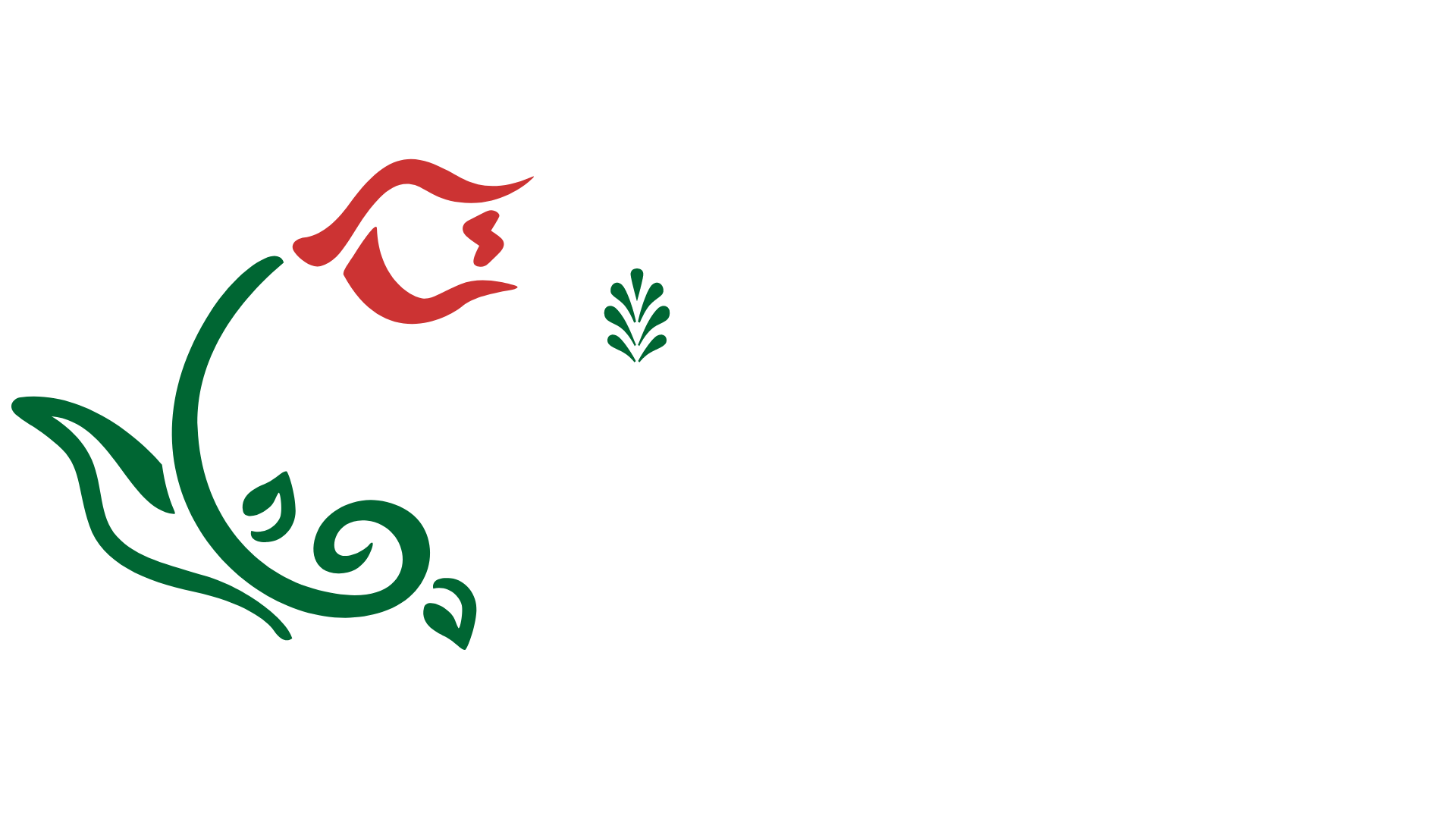 Locations SpringStone Montessori Preschool